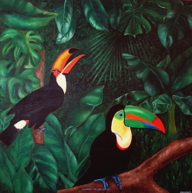 toucan afrique asie