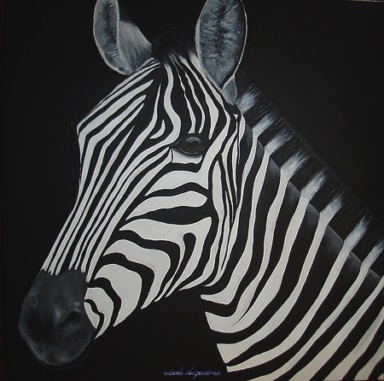 afrique zebre